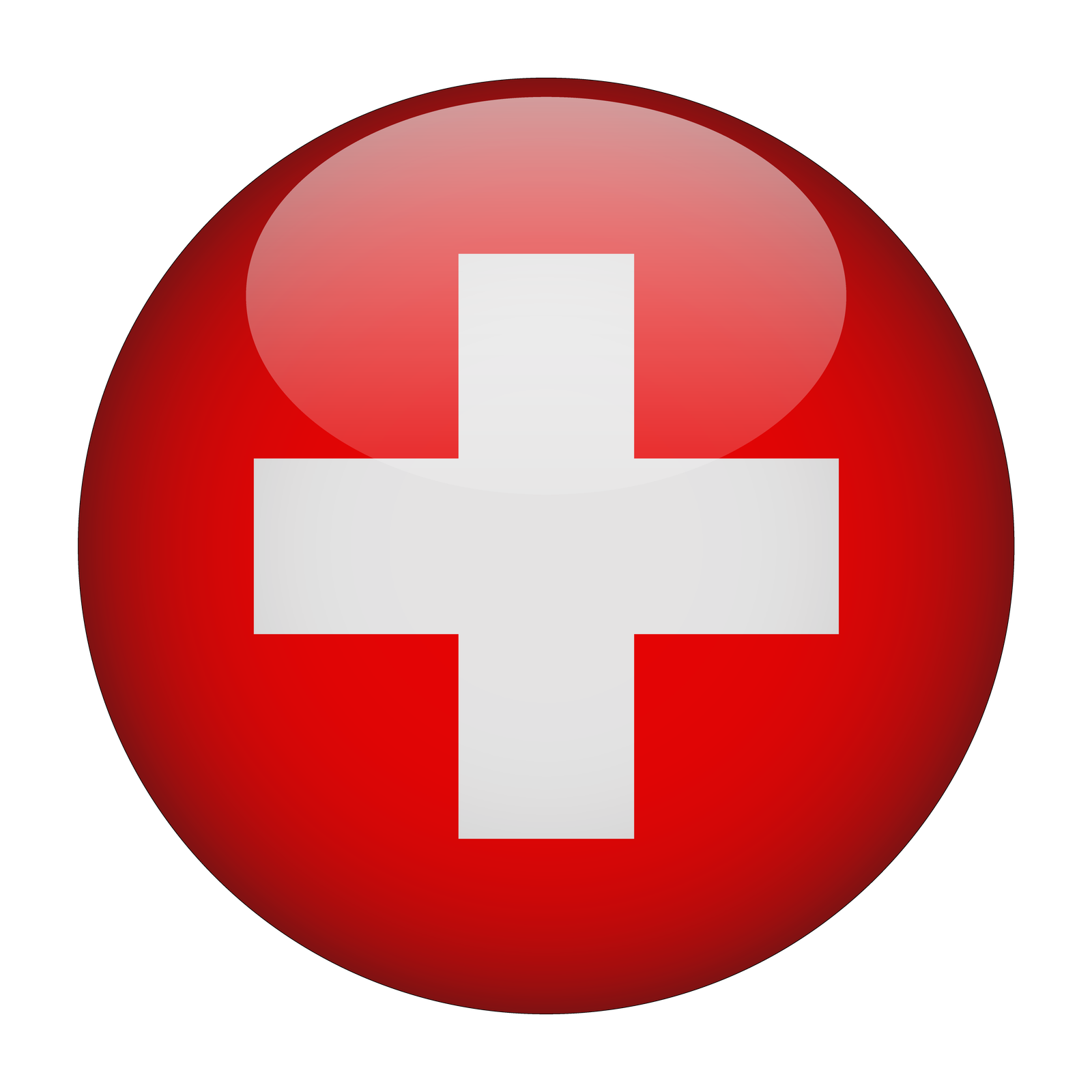 Switzerland Flag